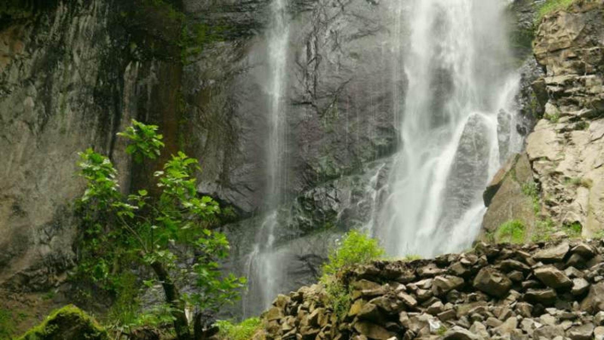 باتومی