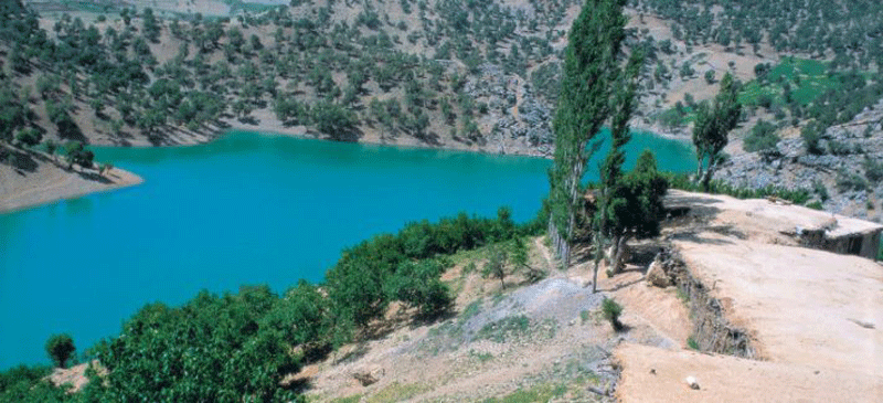 دریاچه مور زرد