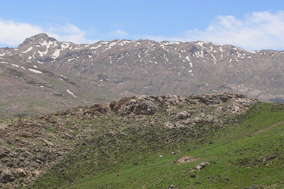 منطقه حفاظت‌ شده بیستون