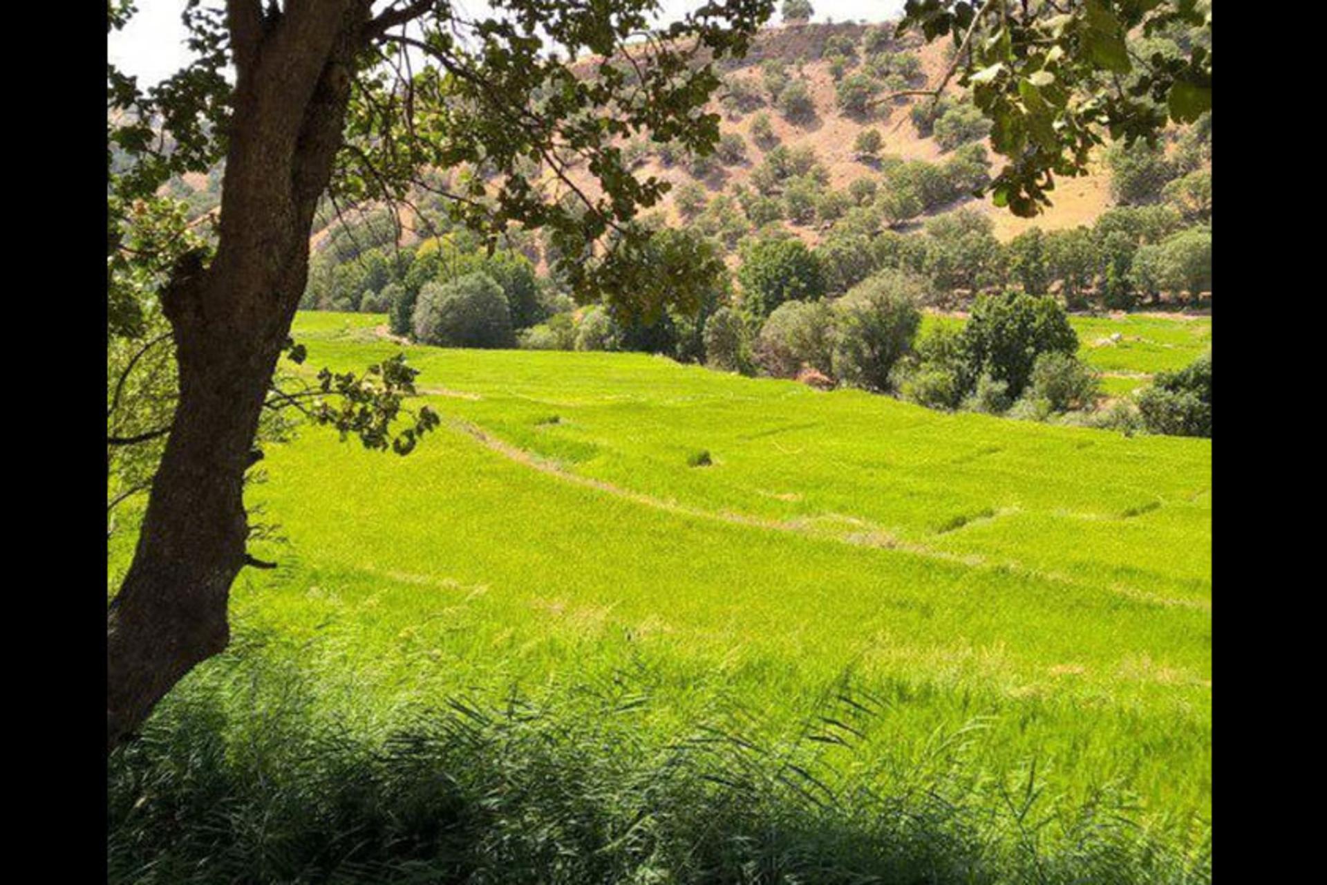 دهکده توریستی کریک