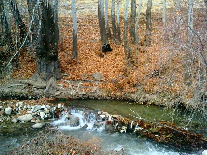 دهکده کریک