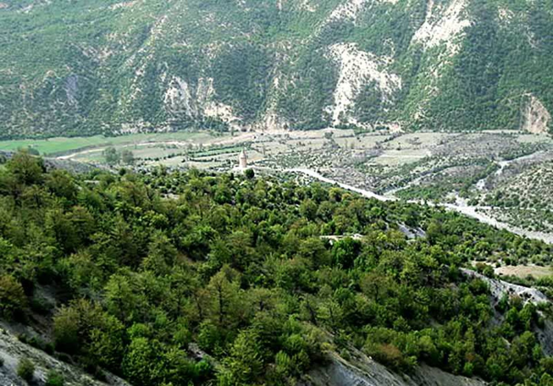 کردکوی