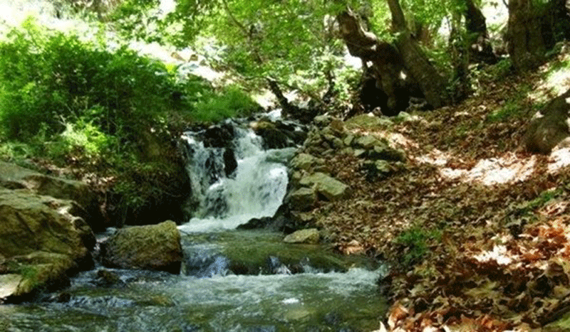 ابشار طسوج