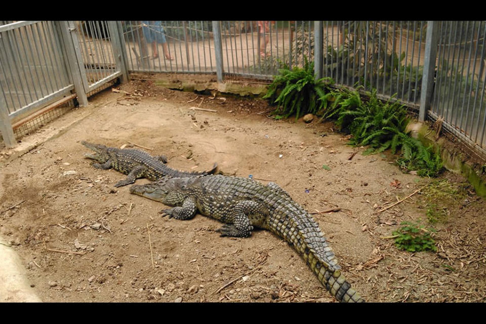Izmir Wild Life Park