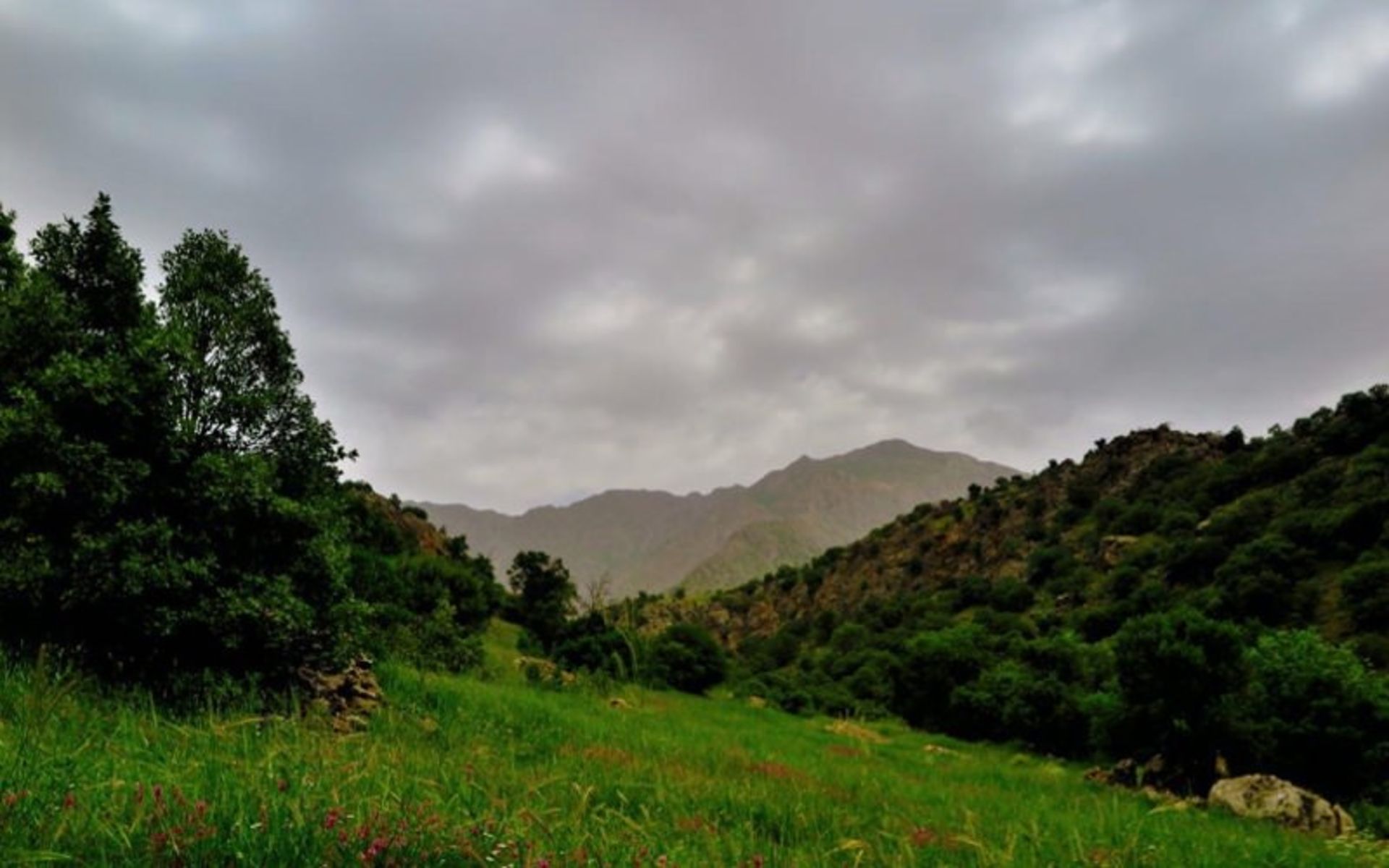 منبع: گوگل مپ