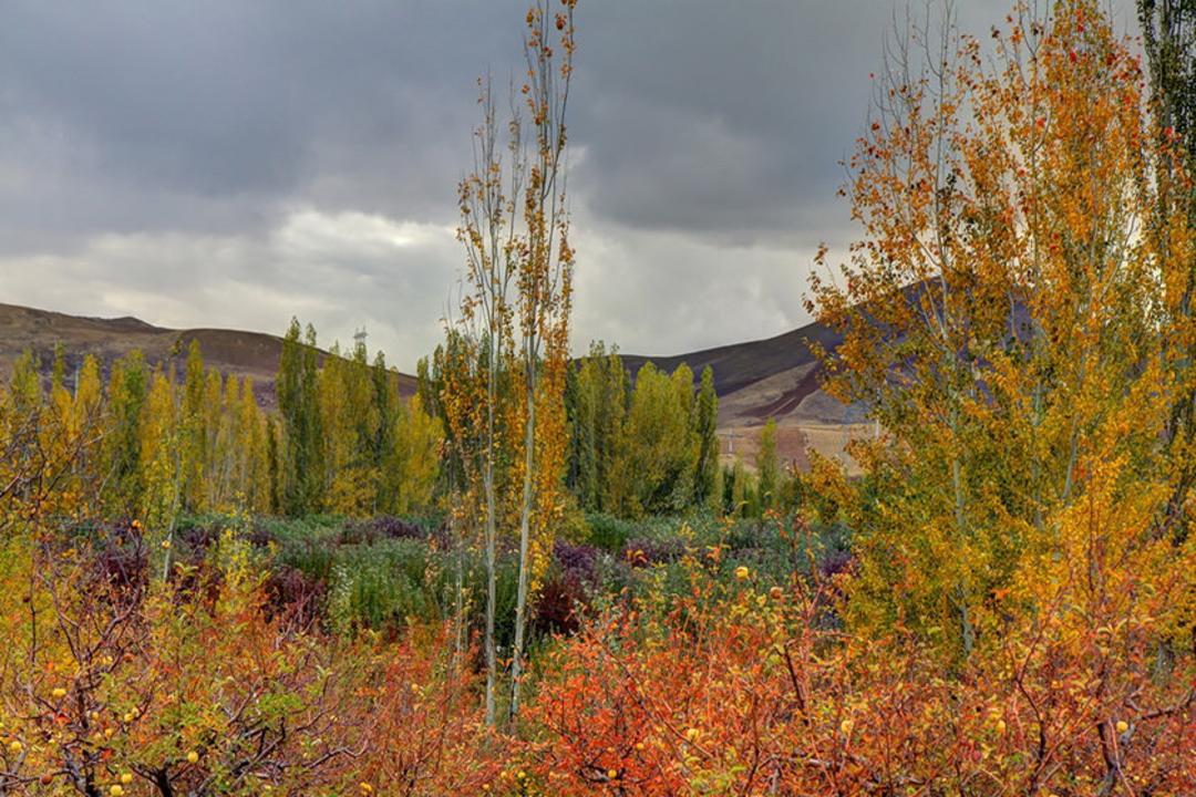 گردشگری روستایی