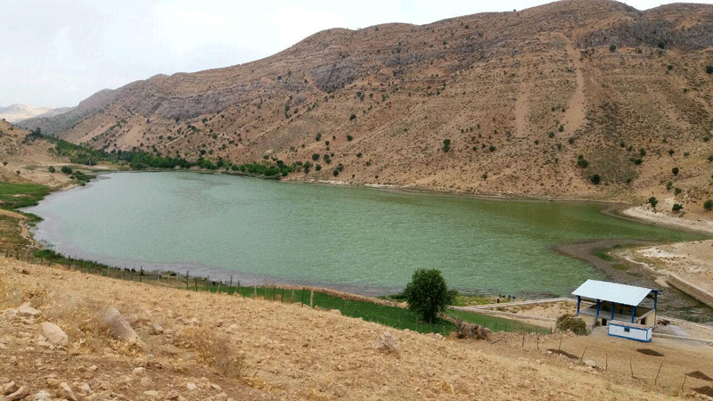 دریاچه مور زرد