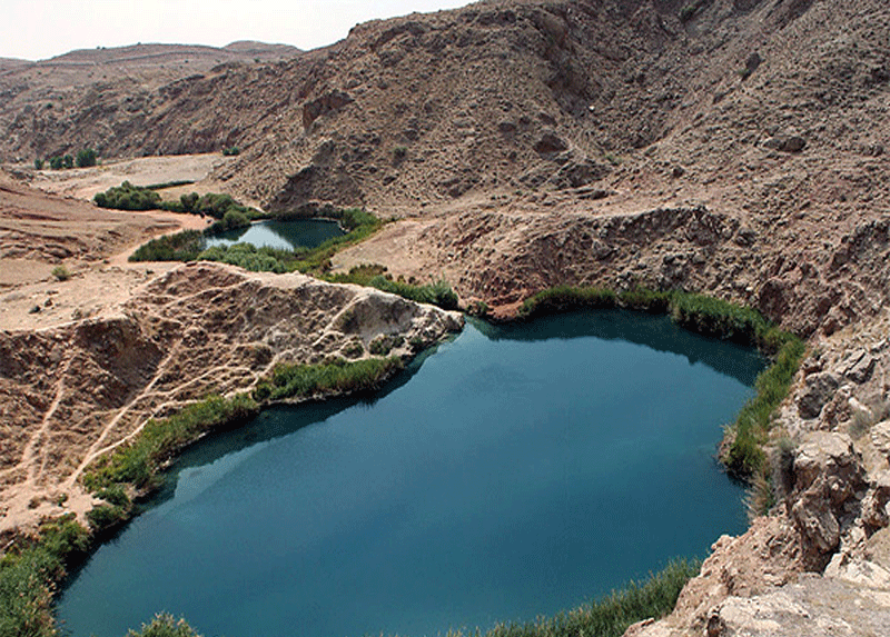 دریاچه مور زرد