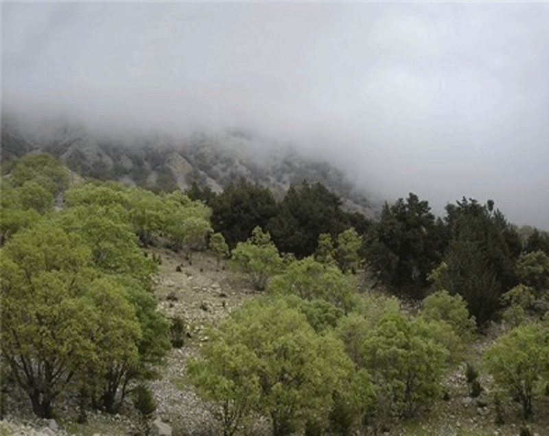 تنگ ماغر