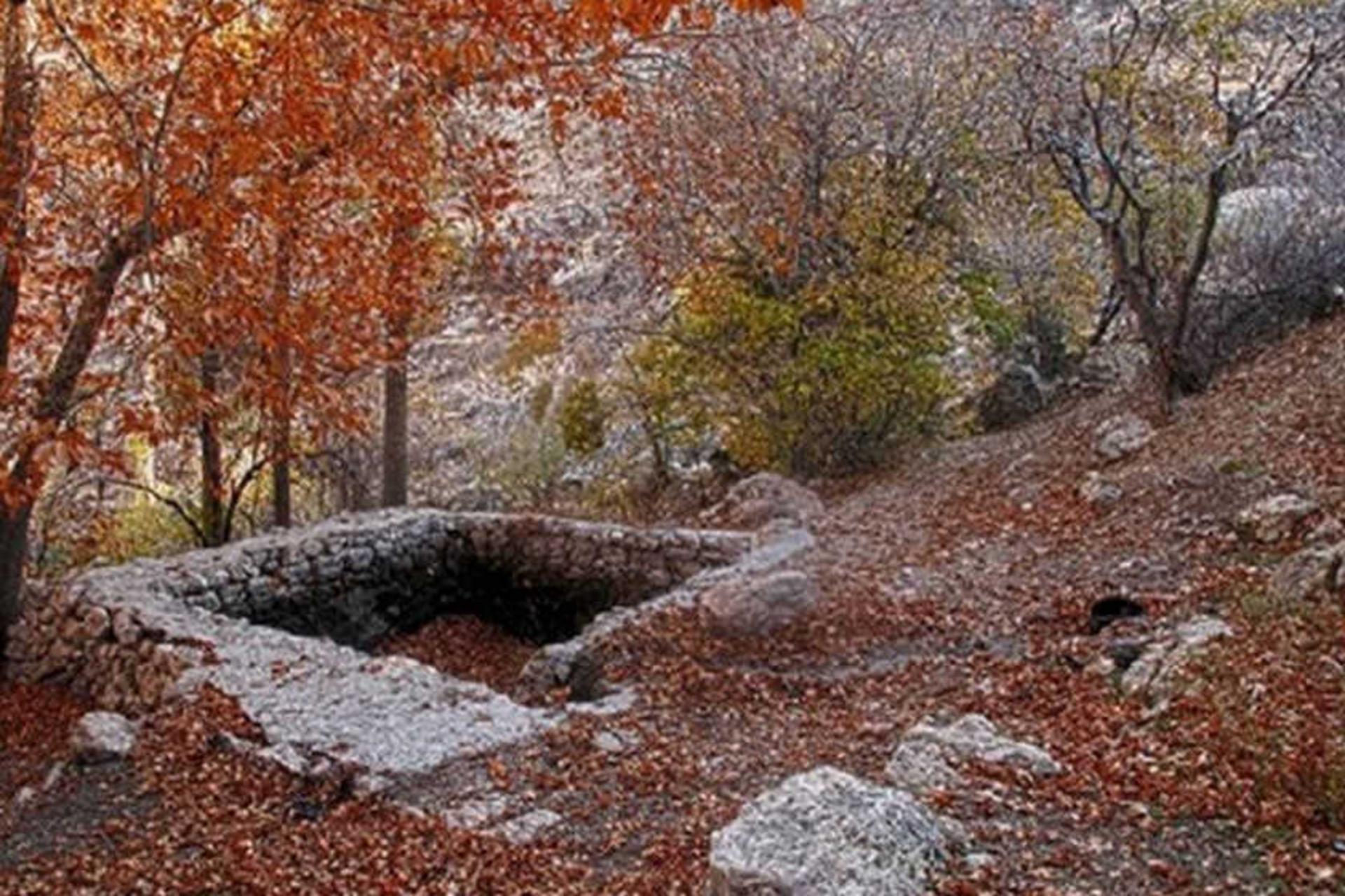 پارک جنگلی استهبان
