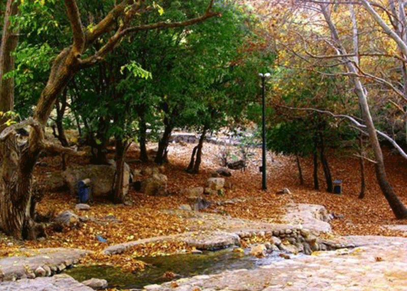 تنگ گنجه ای