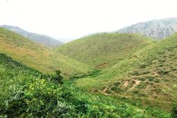 تولکی‌ تپه