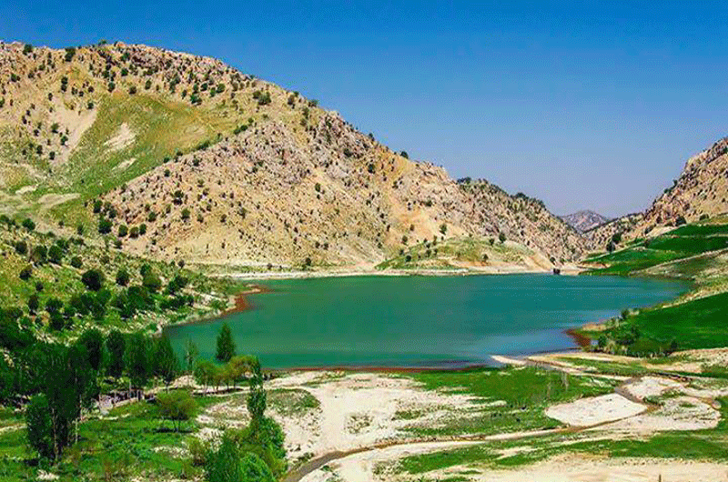 دریاچه مور زرد