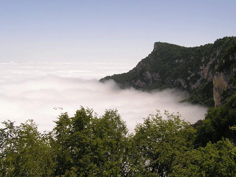 کردکوی