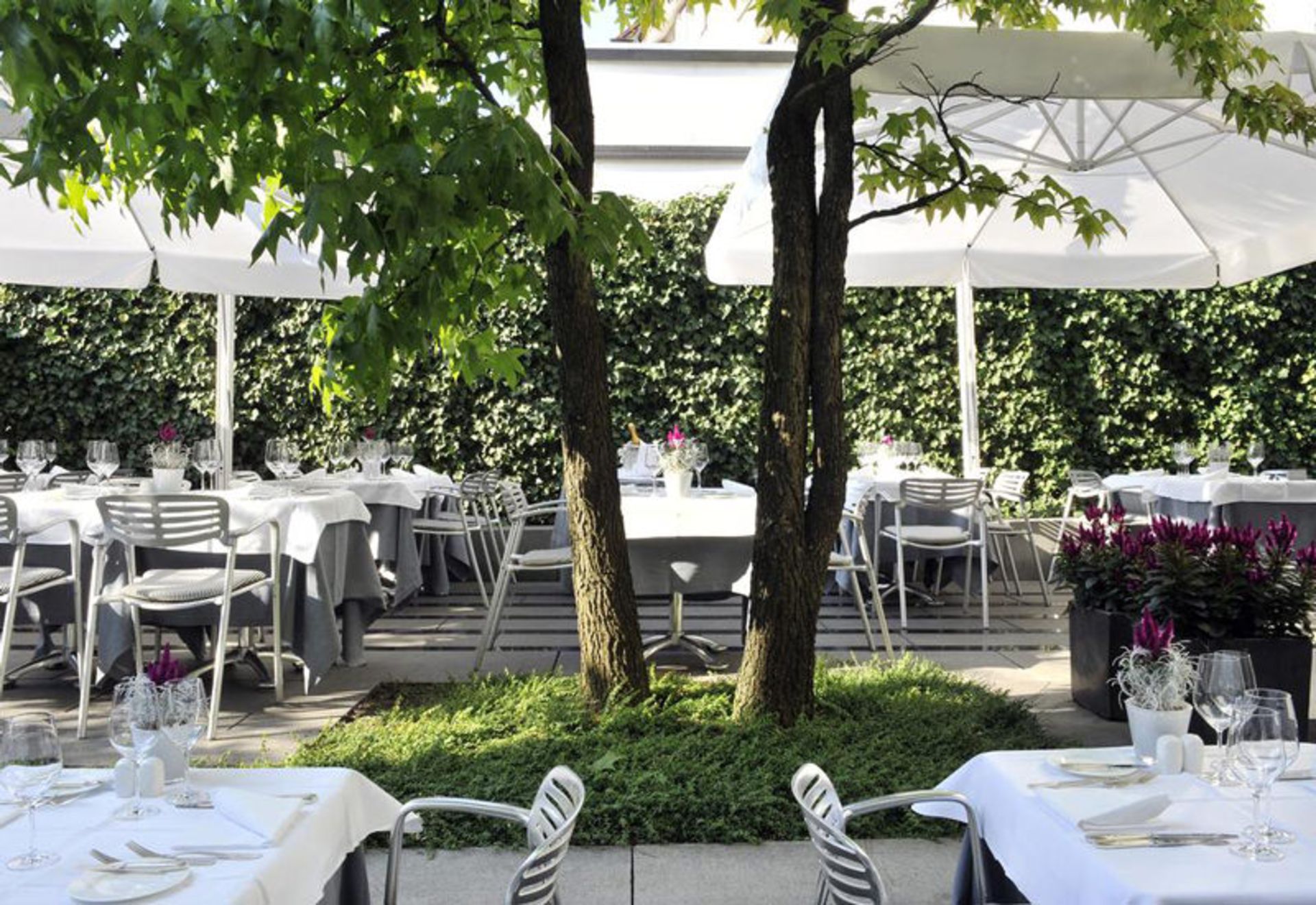 هتل ویدر (Widder Hotel)
