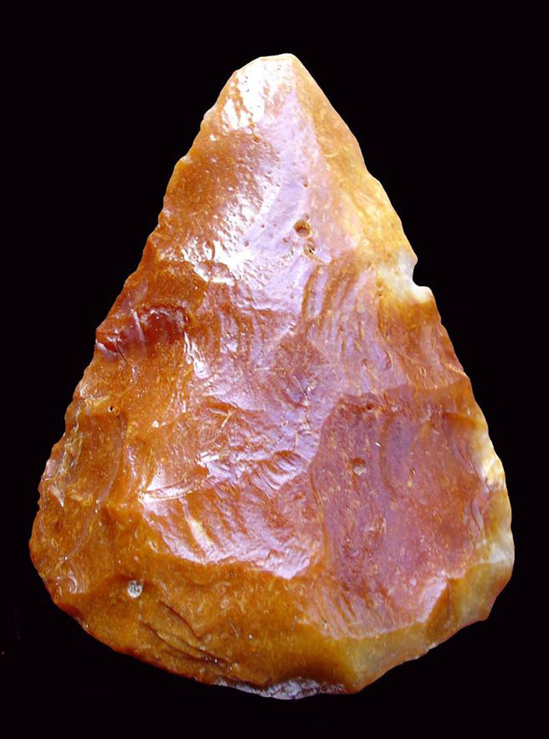 موزه درنتس