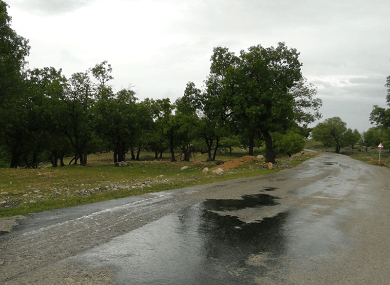 تنگ ماغر