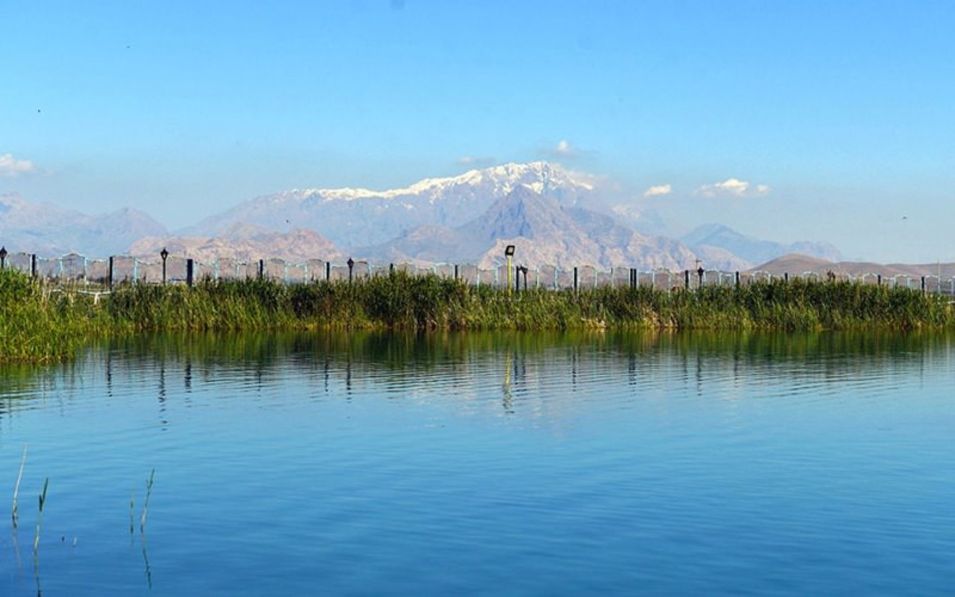 سراب نیلوفر