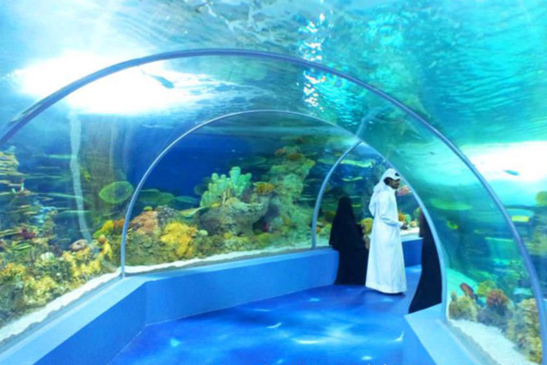جده عربستان