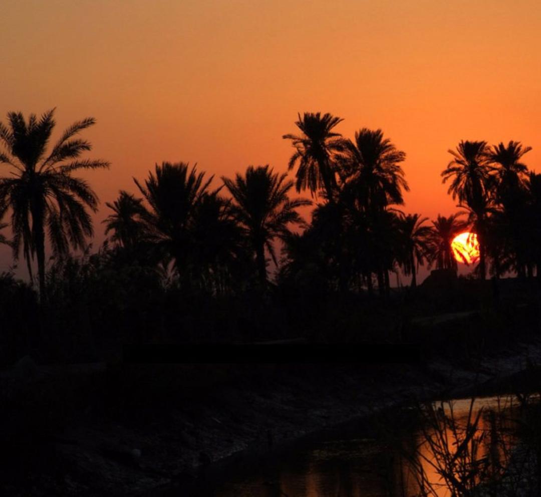 جزیره مینو
