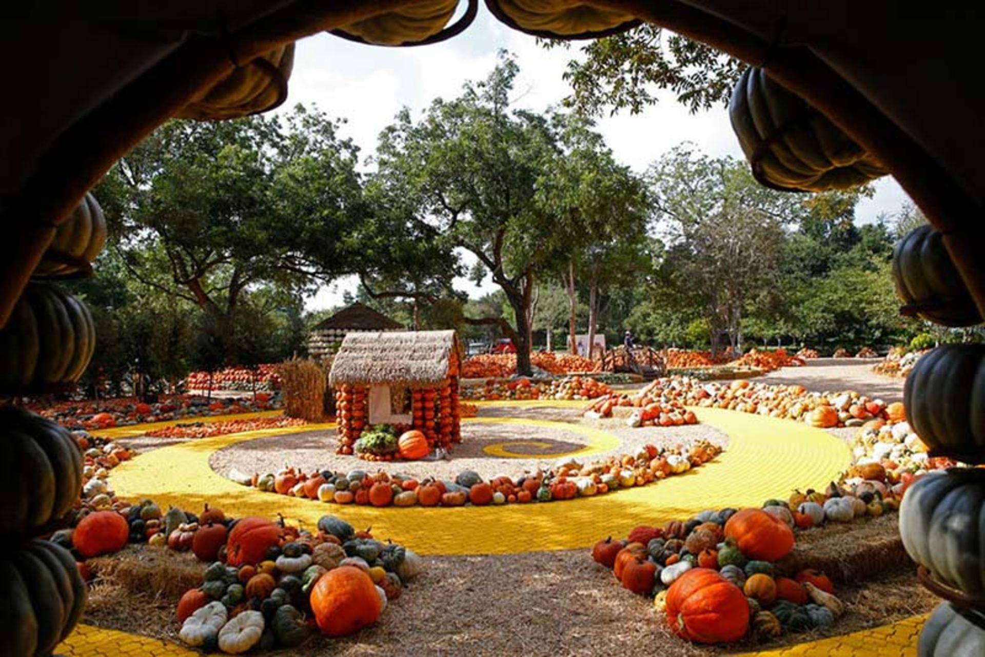 باغ گیاه شناسی دالاس