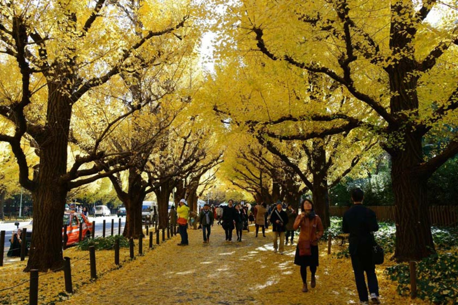 خیابان مجی جینگو گاین
