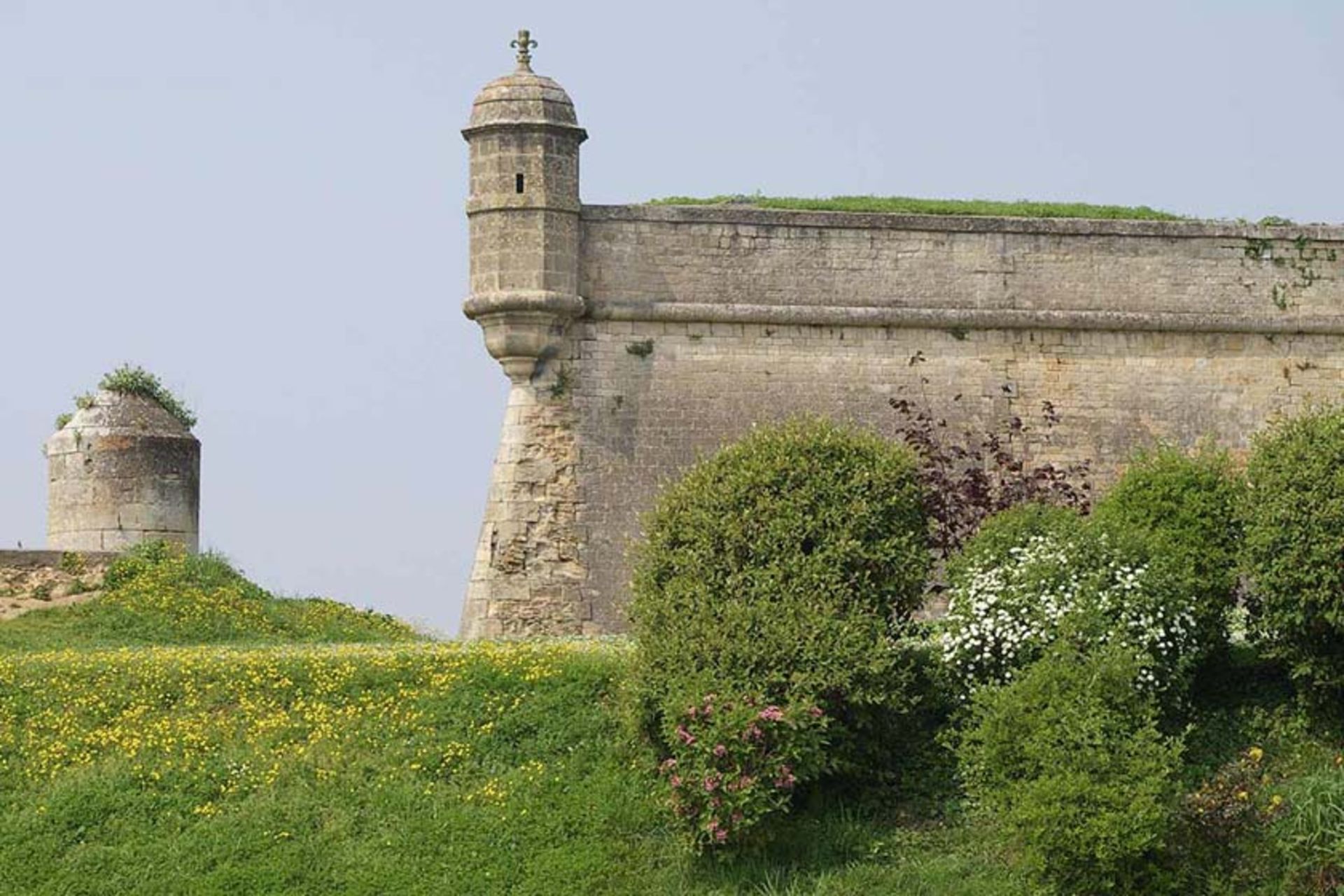 دژ بلای