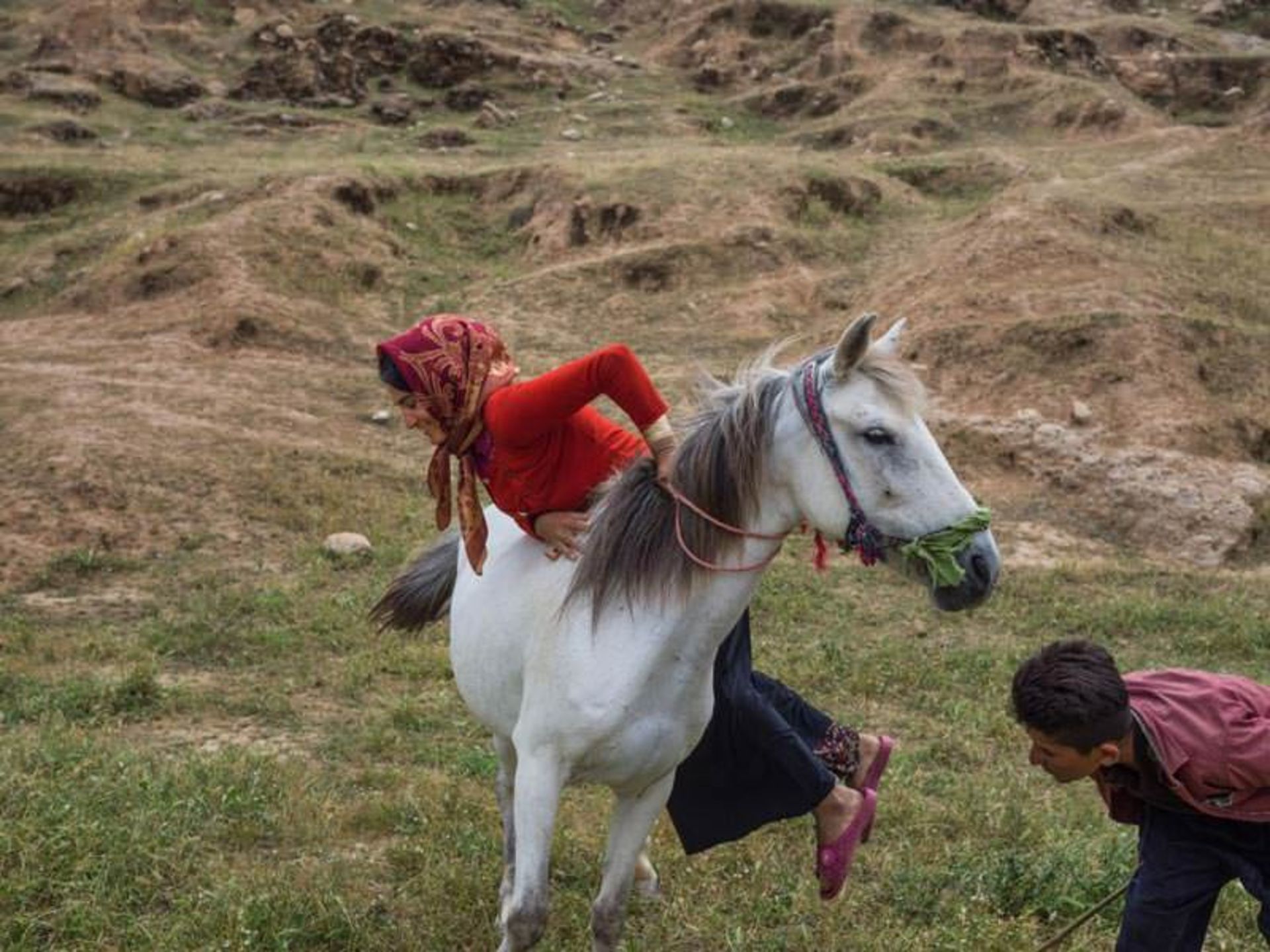 عشایر