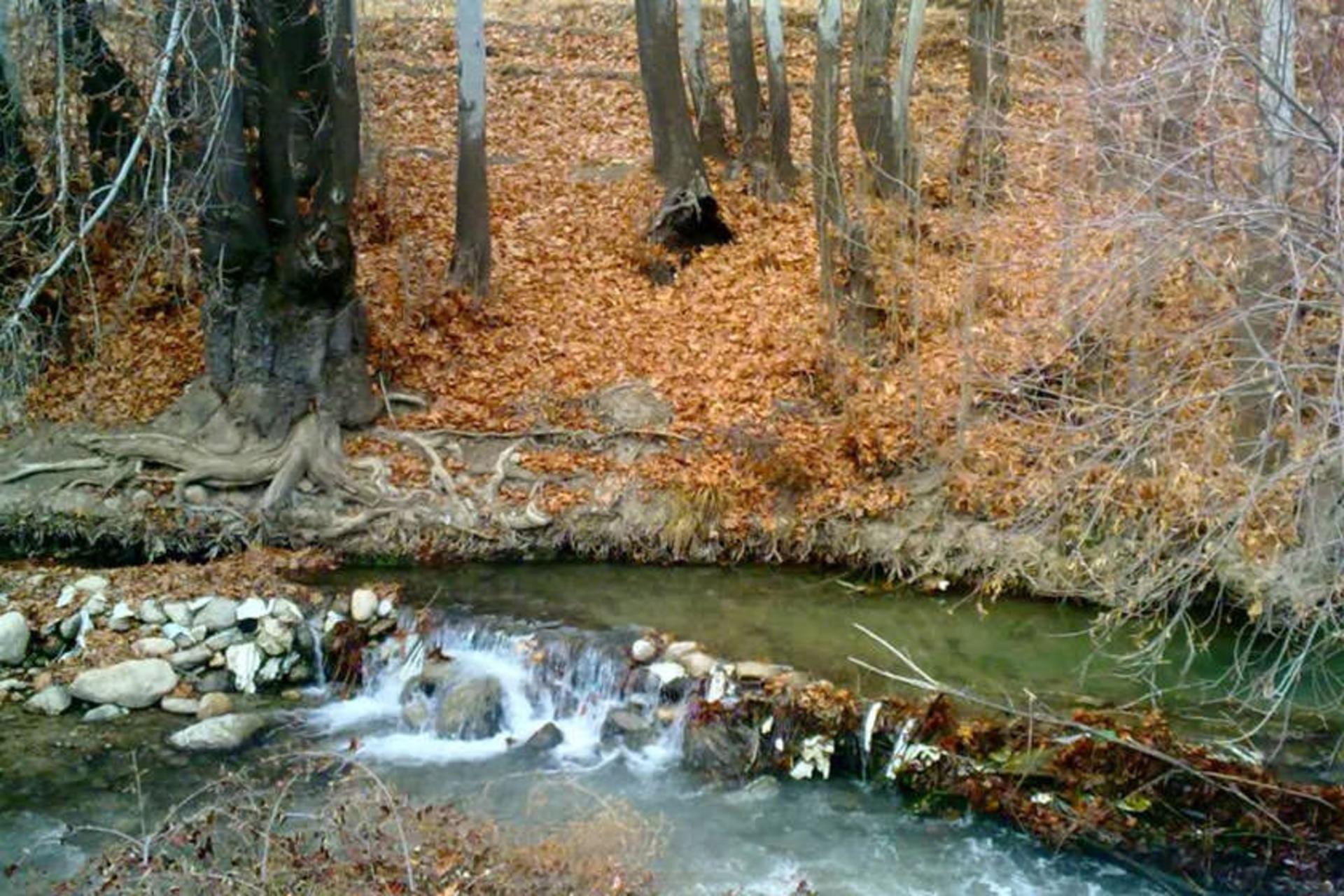 دهکده توریستی کریک