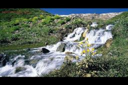 آبشار طسوج