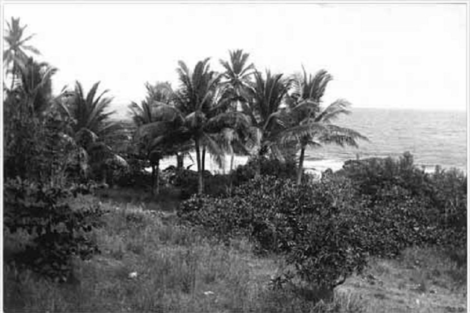 banaba
