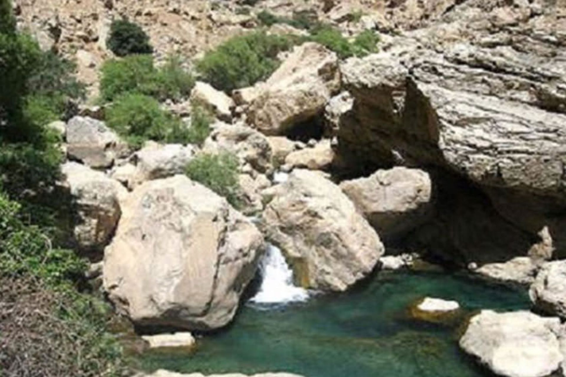 پارک جنگلی استهبان