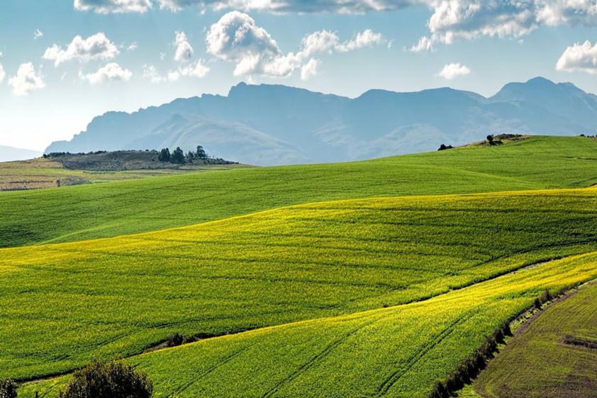 آفریقای جنوبی