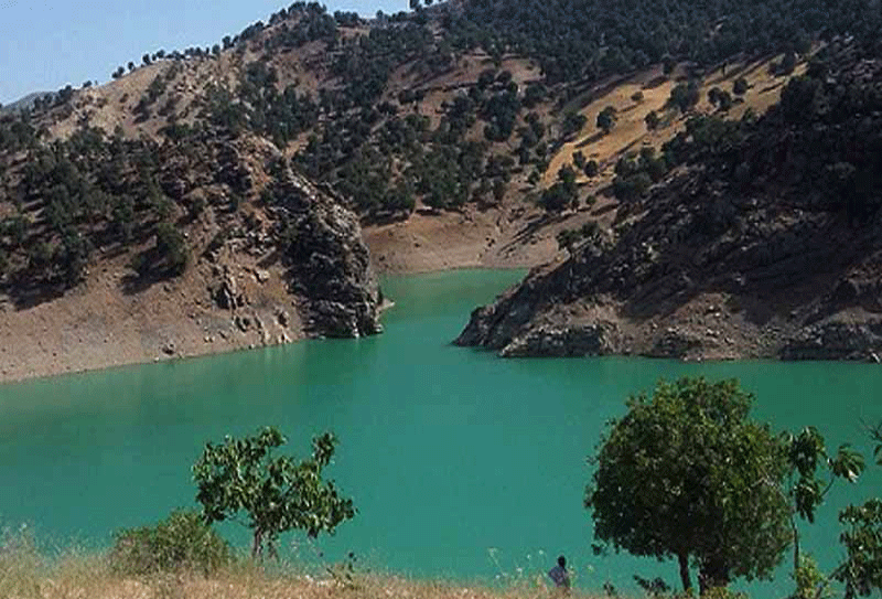 دریاچه مور زرد