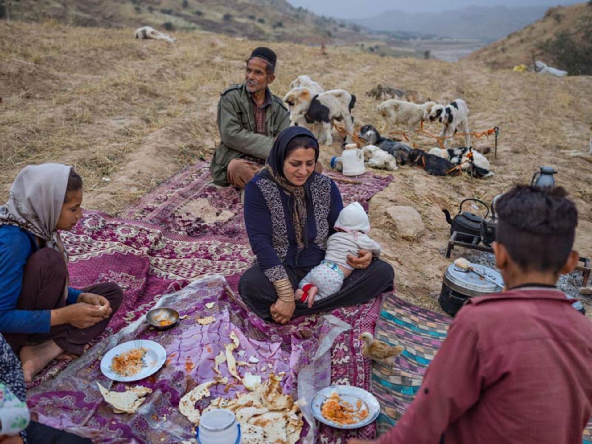 عشایر