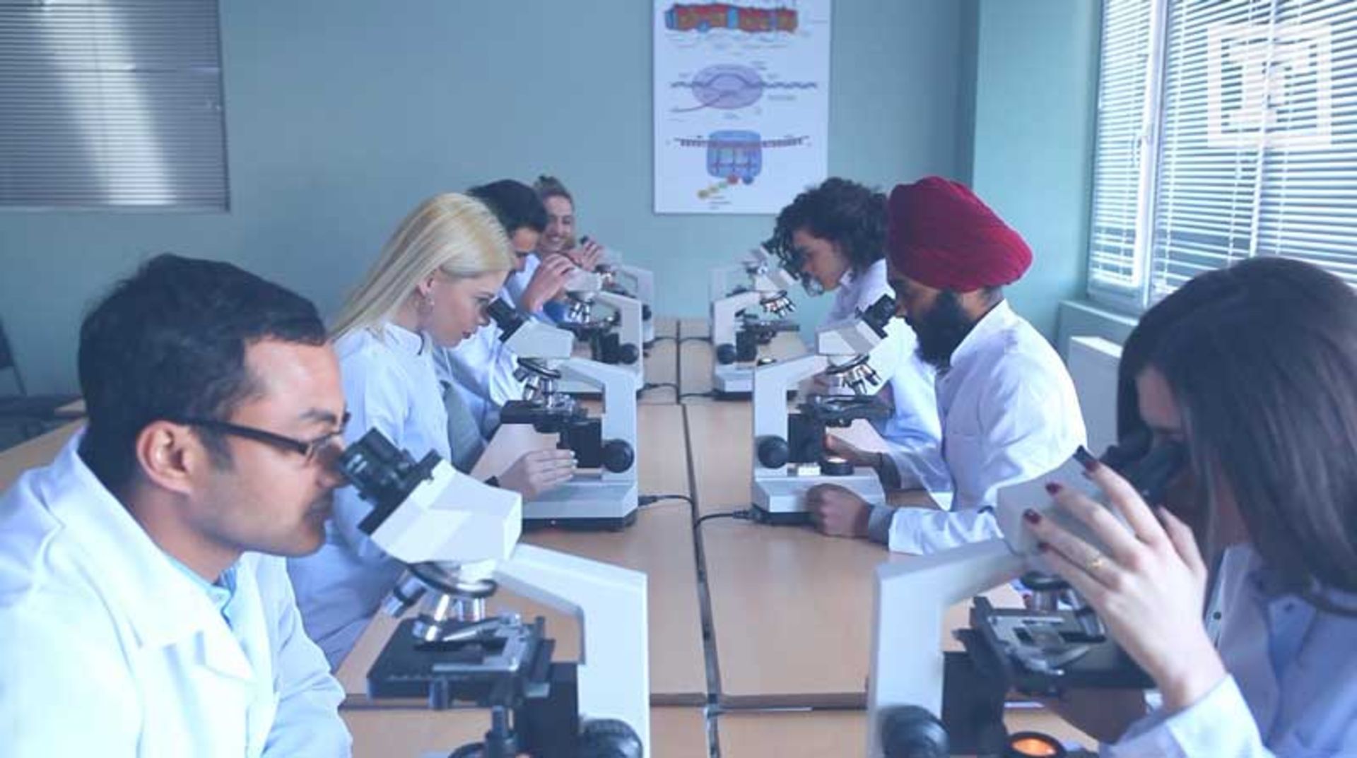 راهنمای تحصیل در گرجستان