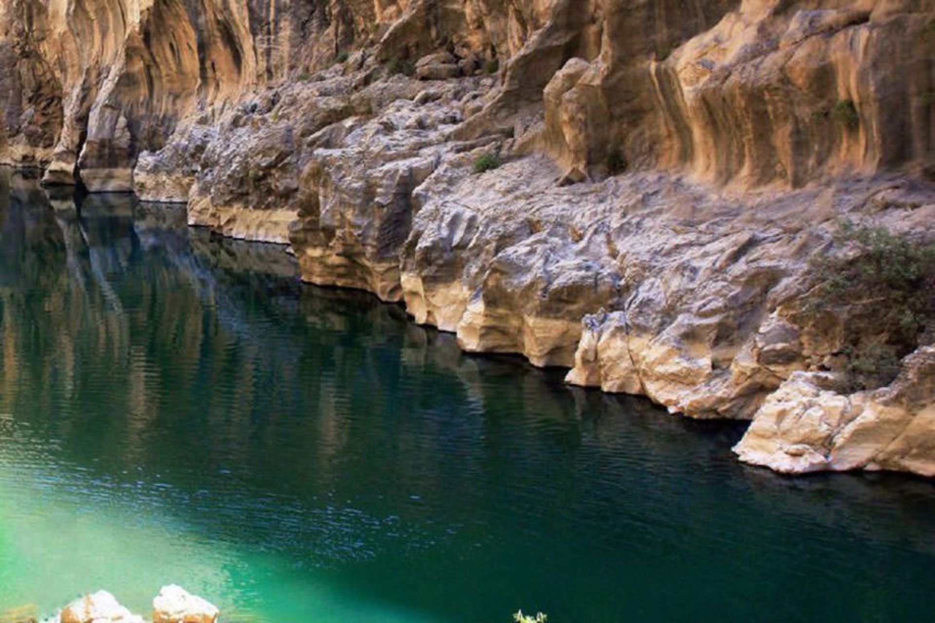سد داریان