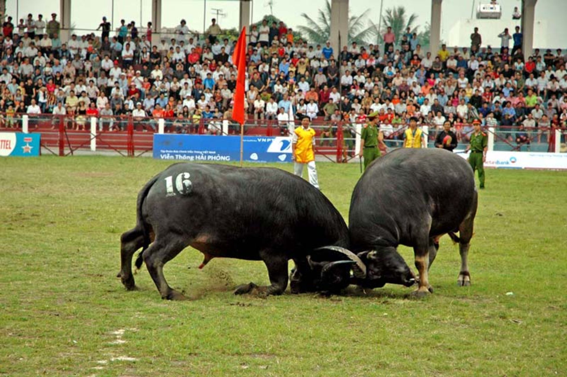 زمان سفر هانوی