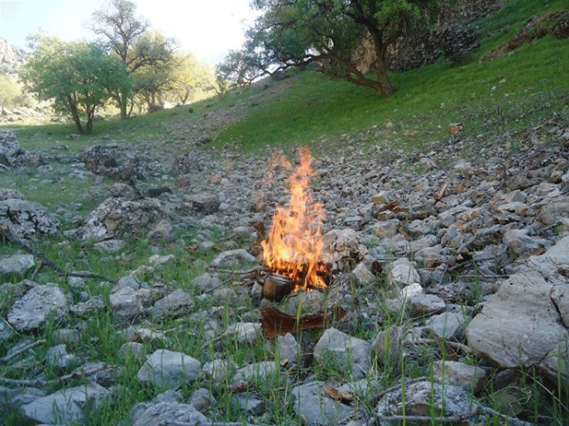 روستای شاه بهرام باشت