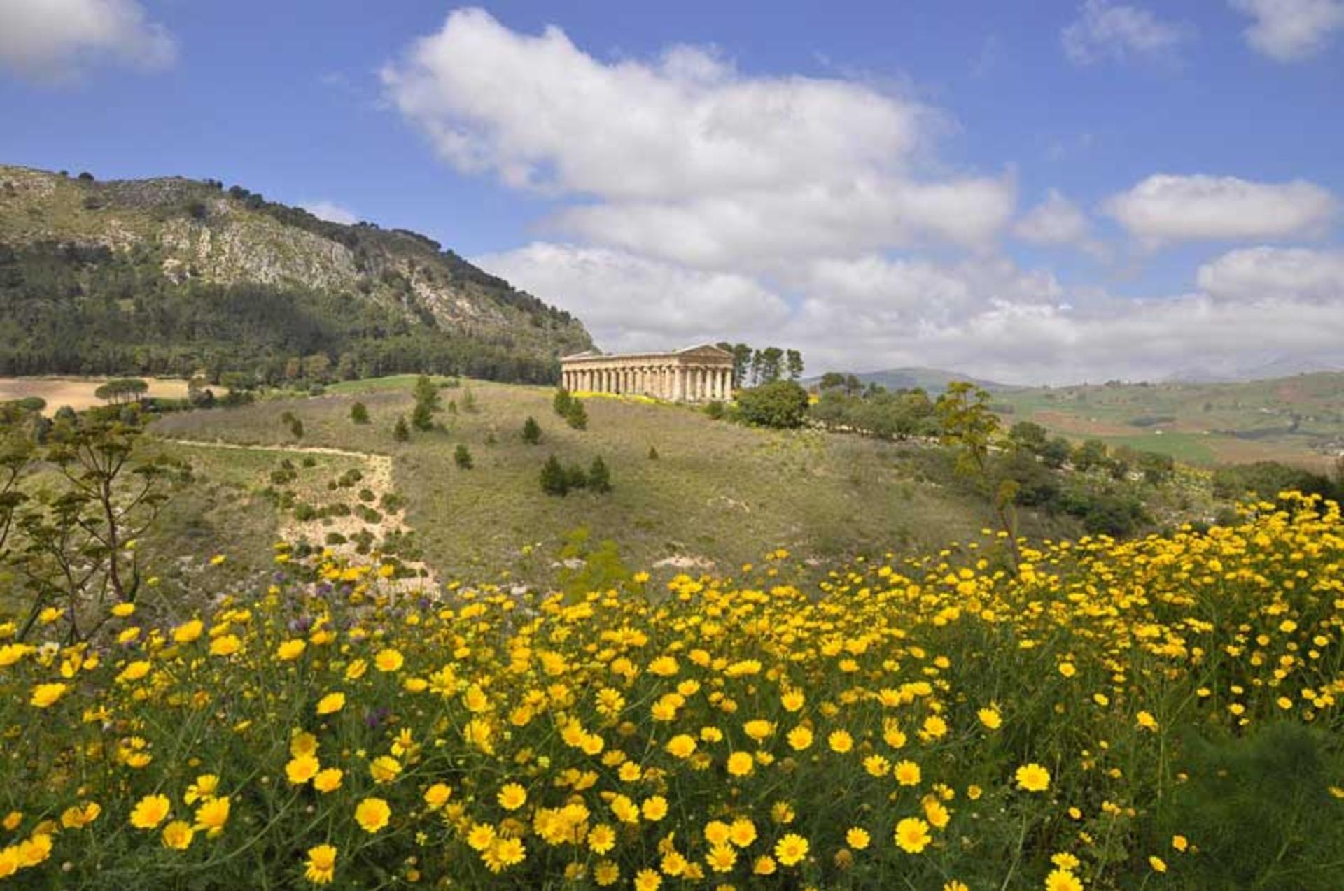 راهنمای تحصیل در یونان
