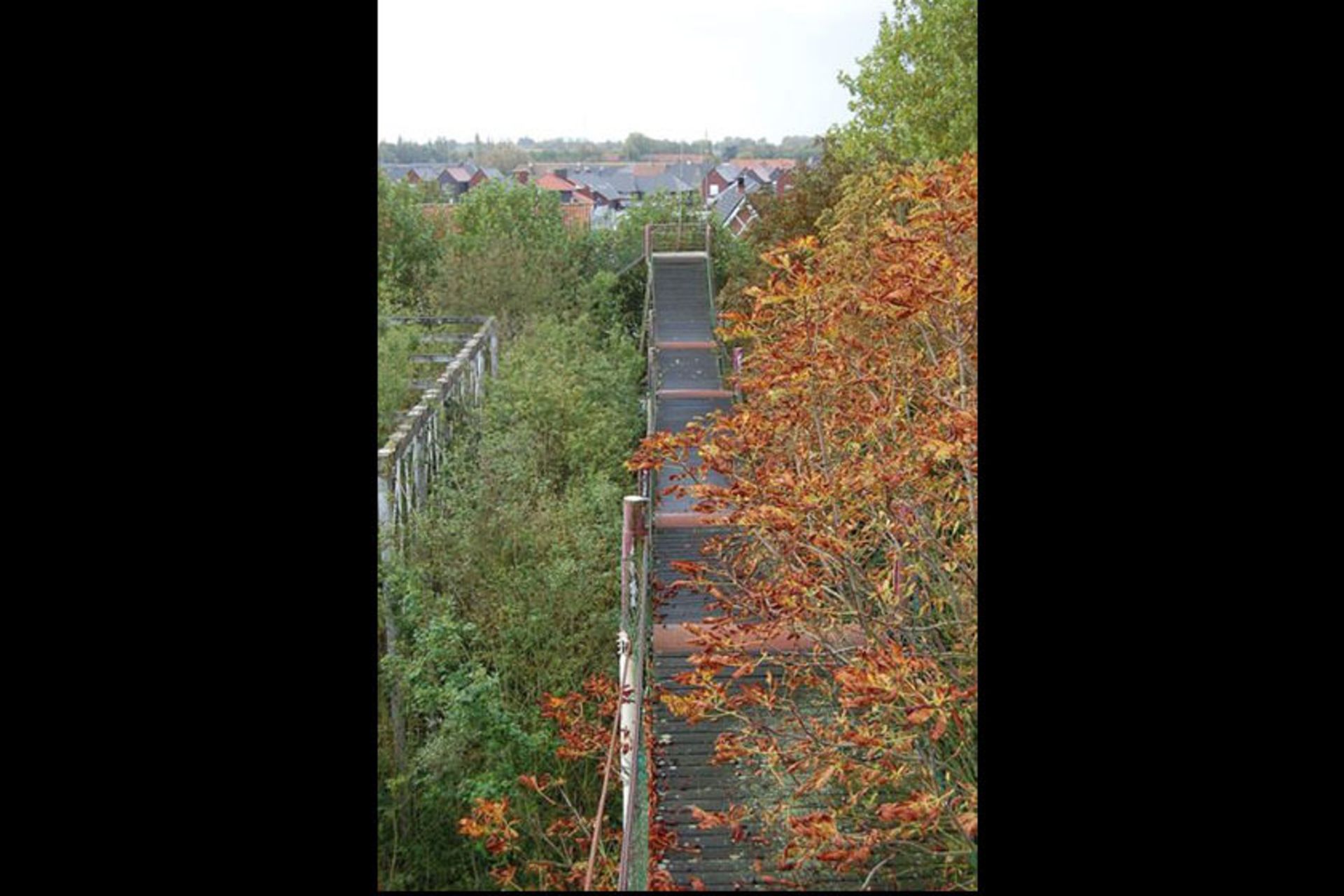 Dadipark