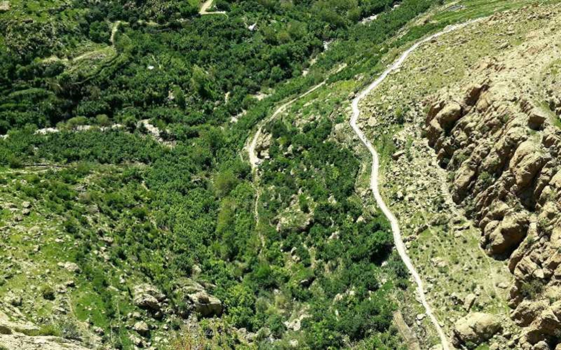 طبیعت اطراف آبشار پیران