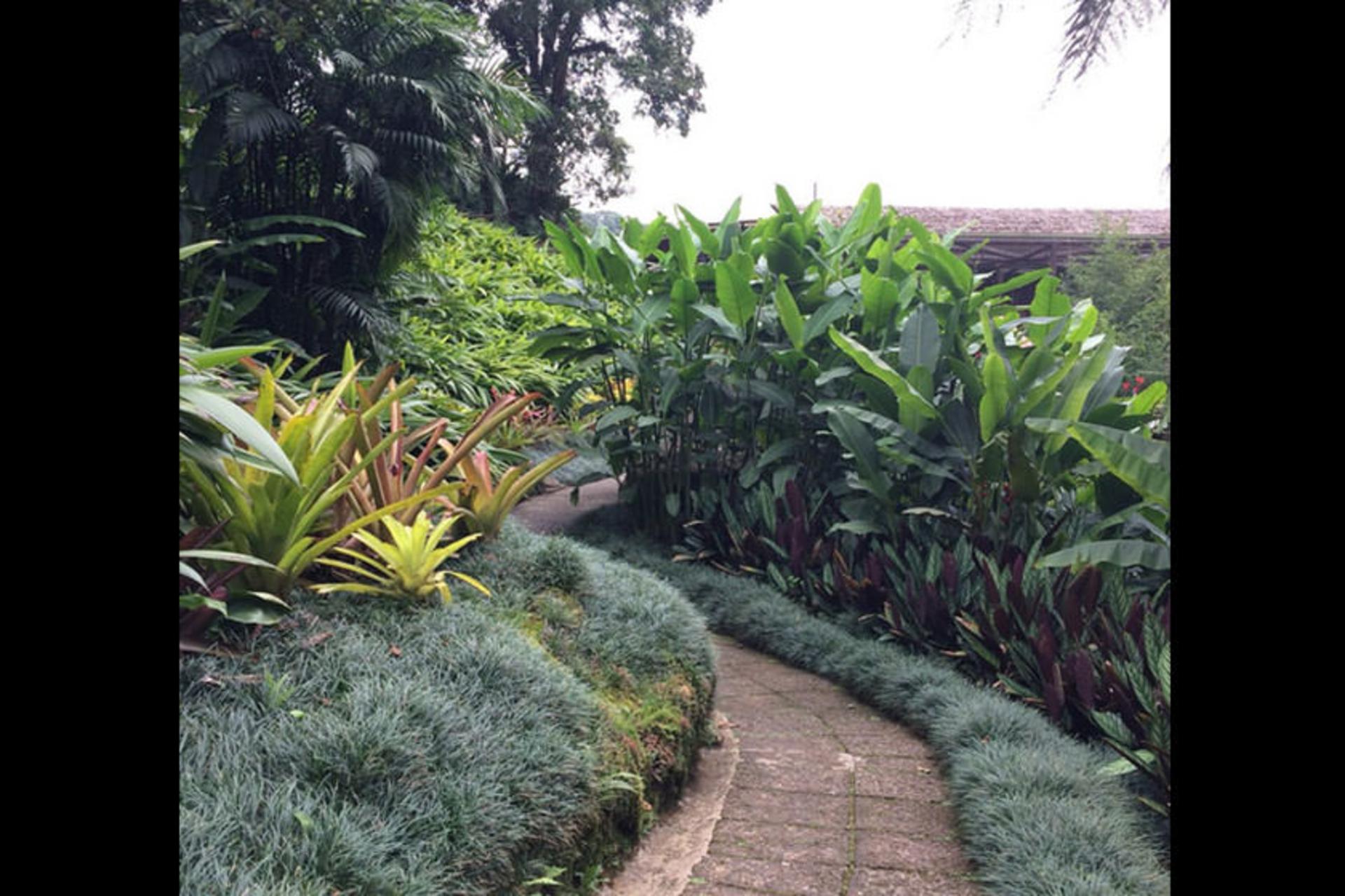 La Paz Waterfall Gardens