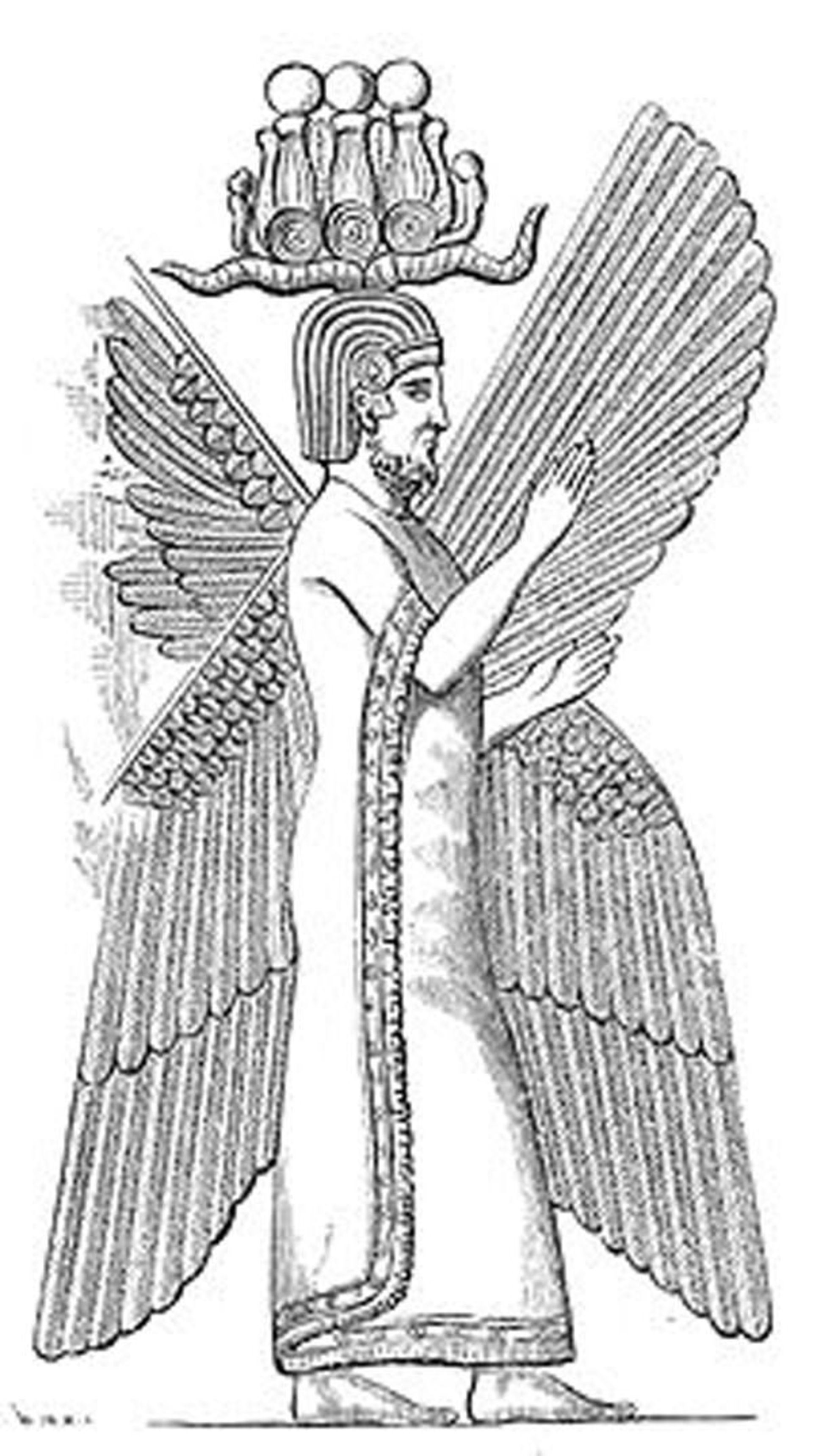 انسان بالدار پاسارگاد
