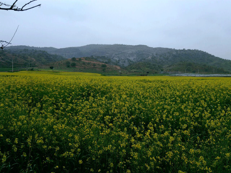 طبیعت باشت