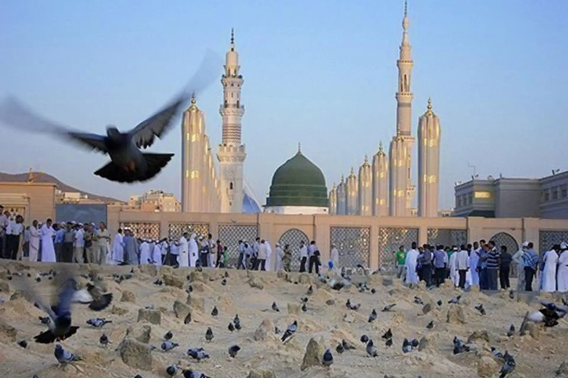مدینه
