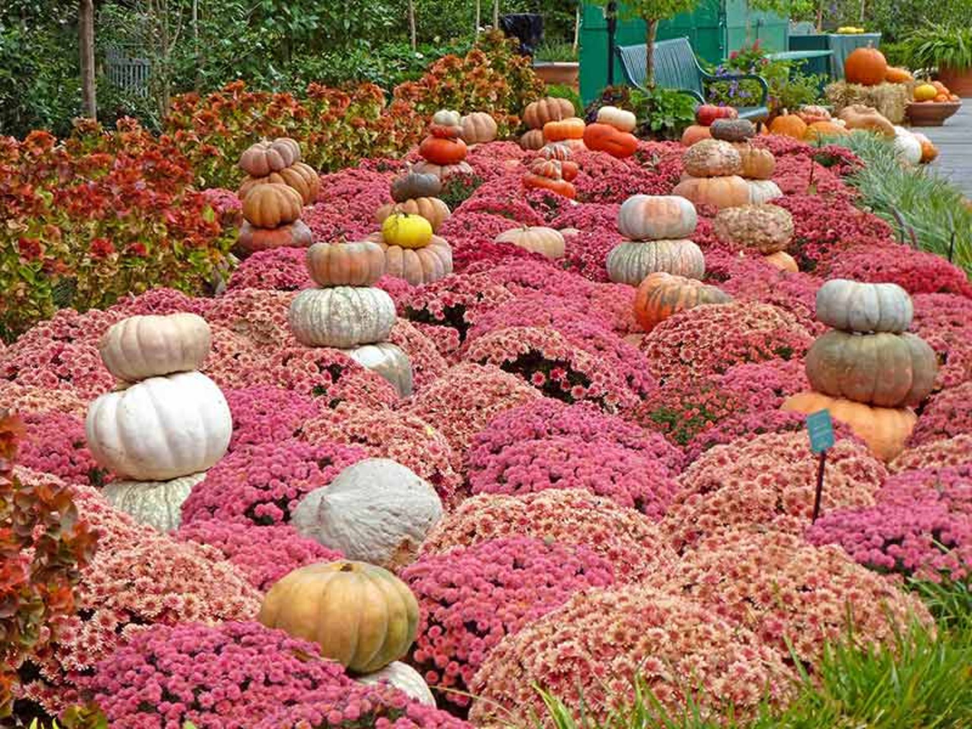 باغ گیاه شناسی دالاس