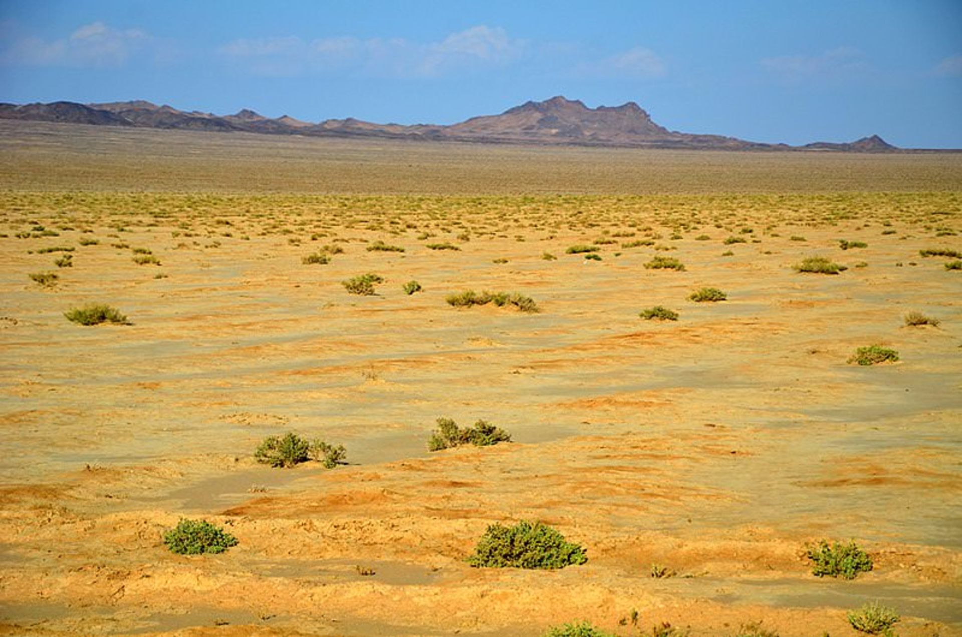 کویر