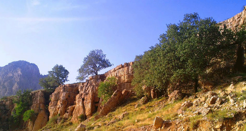 تنگ ماغر