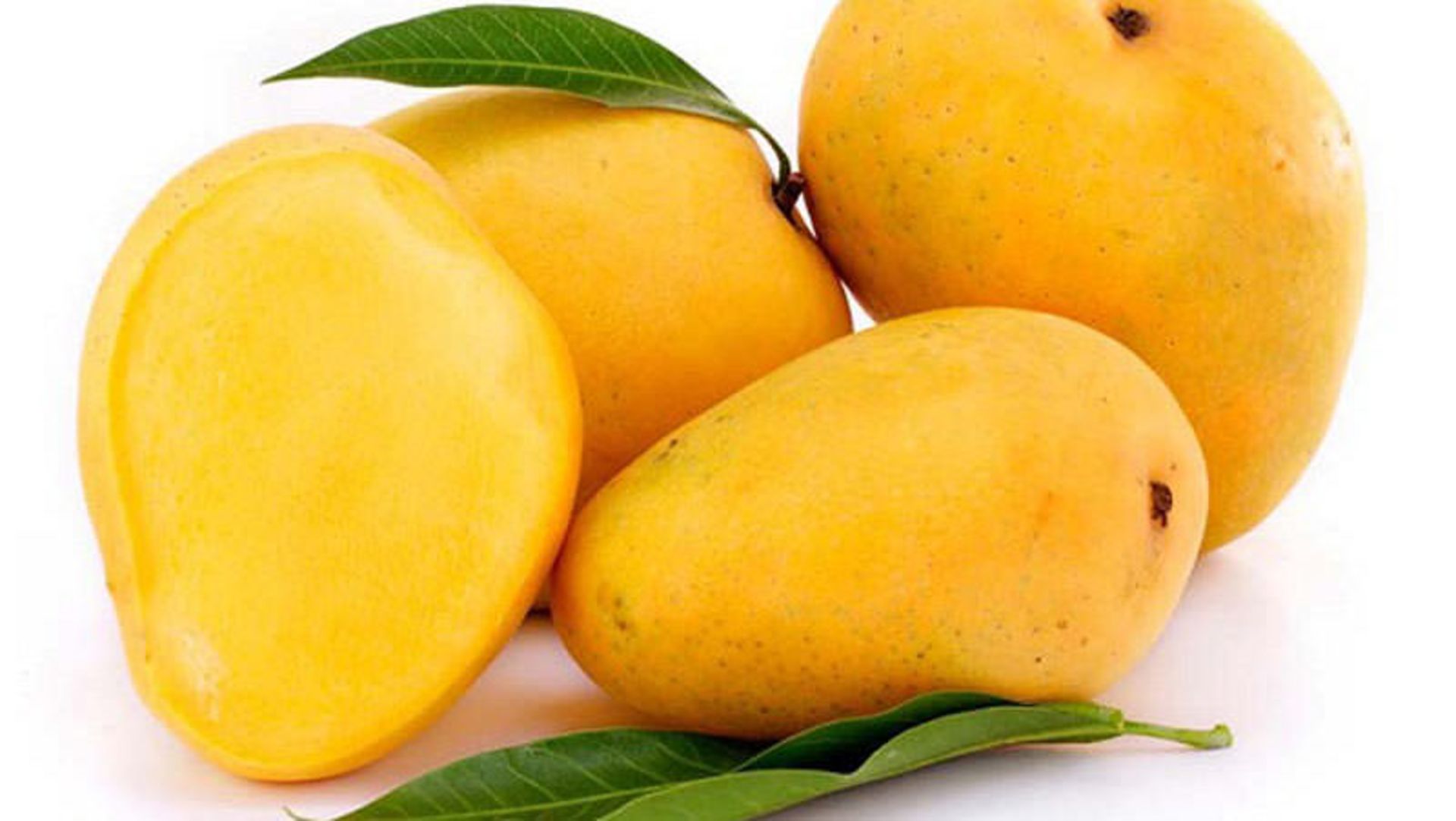 انبه زاهدان